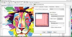 CorelDRAW Graphics Suite 2022 v24.5.0.686 download the new for windows