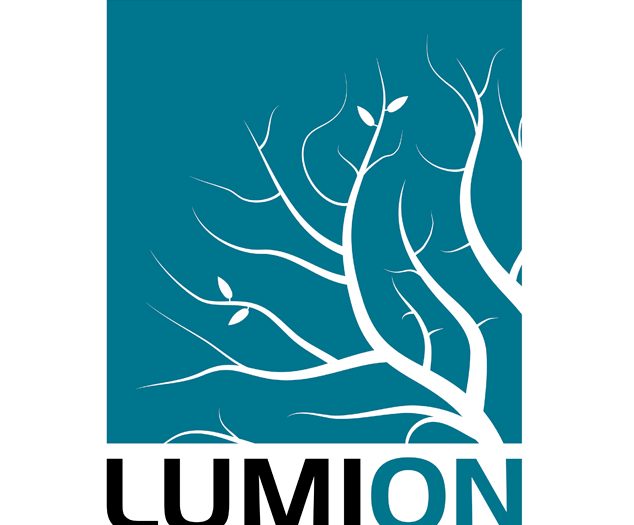 Lumion Pro 11.3.1 Crack Free Download