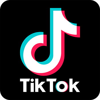 TikTok Downloader 3.3.2