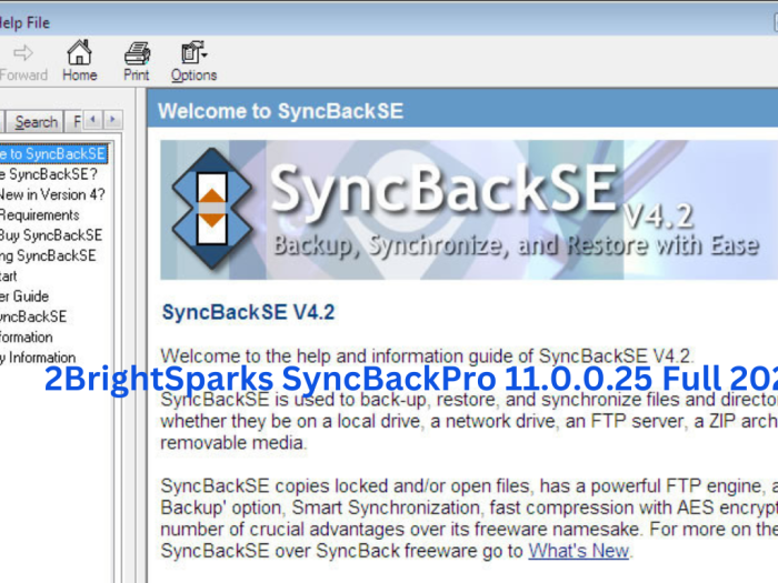 2BrightSparks SyncBackPro